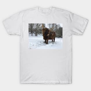 Scottish Highland Cattle Cow 2304 T-Shirt